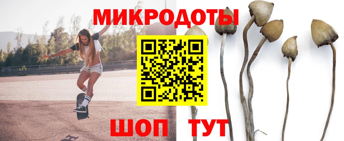 Псилоцибиновые грибы GOLDEN TEACHER  Вход с VPN  Кудрово 