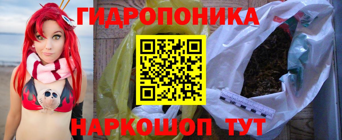 Бошки марихуана LSD WEED  Вход с VPN  Конопля марихуана  Кудрово  Канабис AK-47 